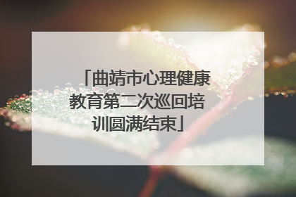 曲靖市心理健康教育第二次巡回培训圆满结束